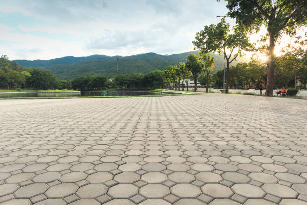 Best Best Driveway Pavers  in Groveton, VA